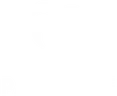 Palmtree